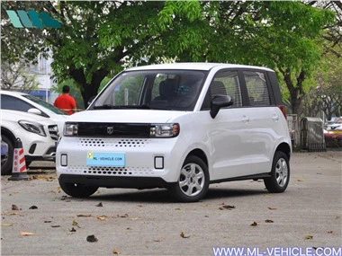 Baizhi Big Bear 電気自動車 15kwh 175KW EV 車