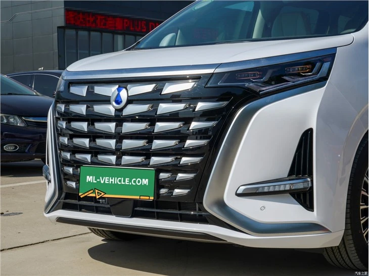 2023 BYD Denza D9 TengShi D9