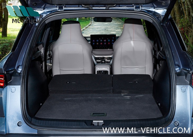 BYD SONG Pro Champion Edition DMI