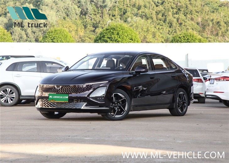 上海汽車GM 武陵興光PHEV