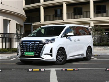 2023 BYD デンザ D9 TengShi D9