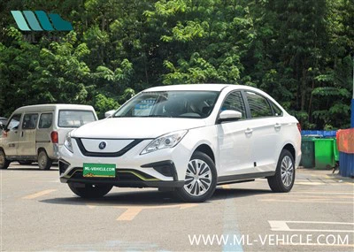 東風フォーシング S50 EV