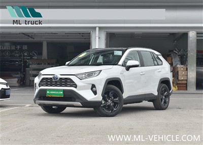 2023 トヨタ RAV4 2.0L 2.5L ハイブリッド - 中国 2023 トヨタ RAV4  