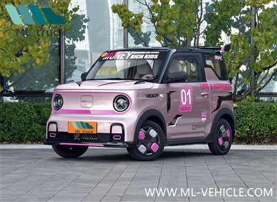 2025年吉利パンダカートEV車
